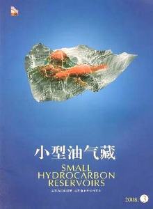 小型油气藏