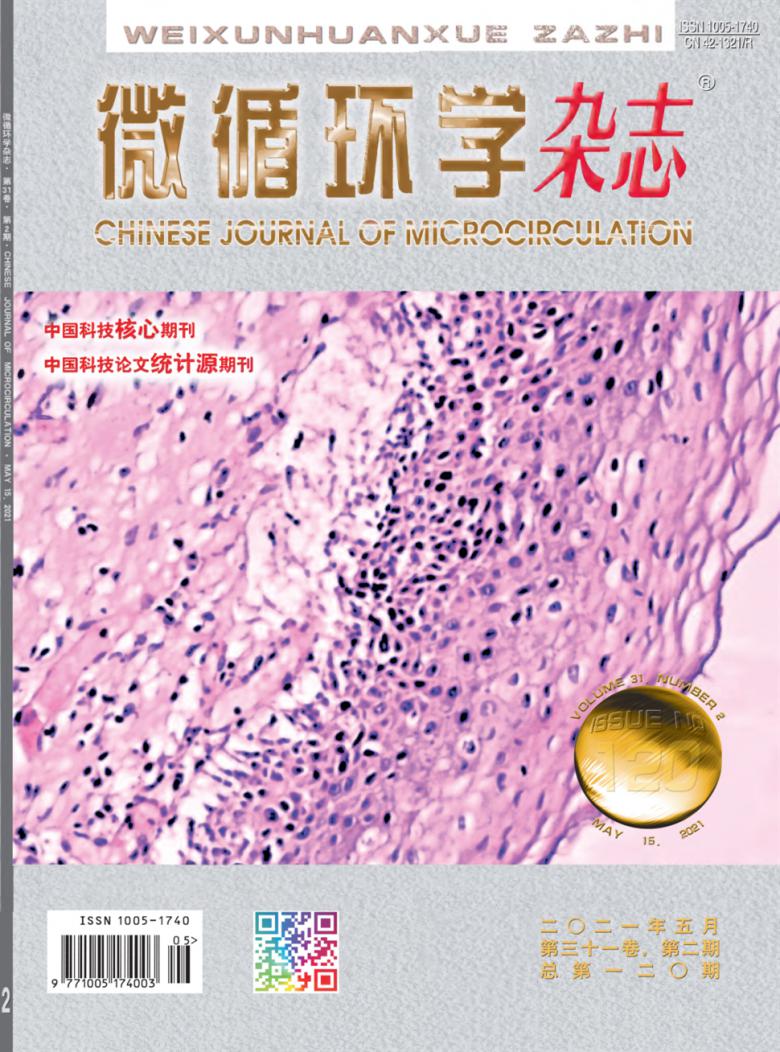 微循环学
