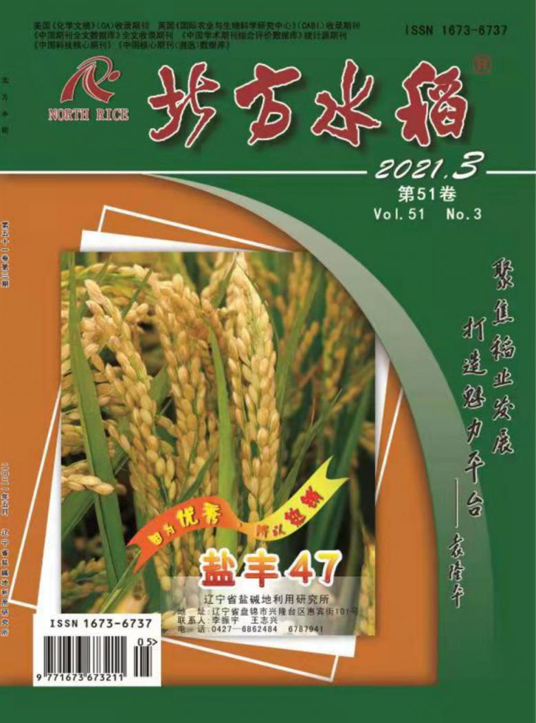 北方水稻