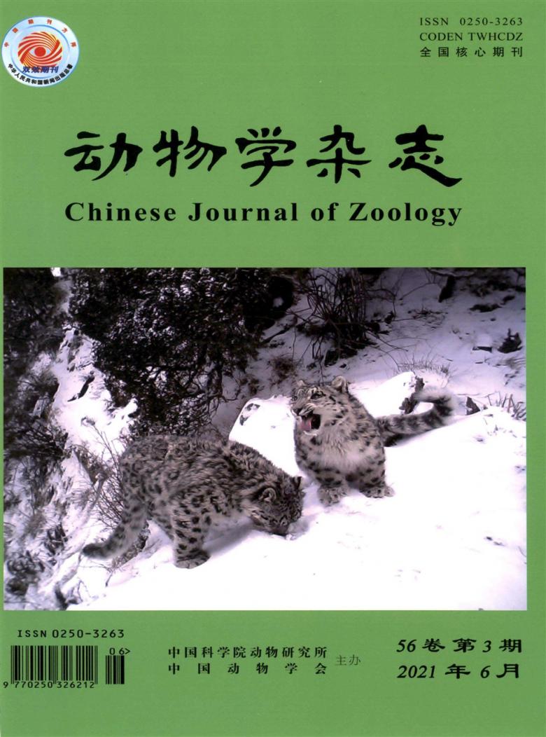 动物学
