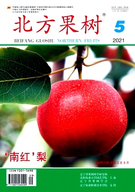 北方果树