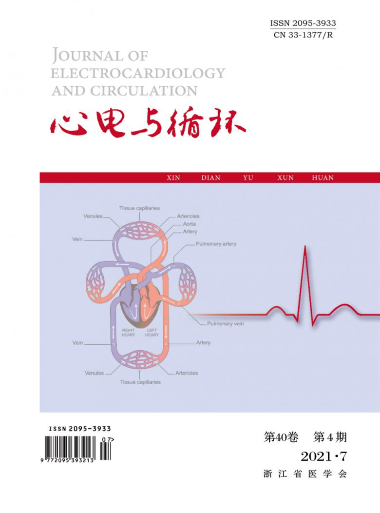 心电与循环