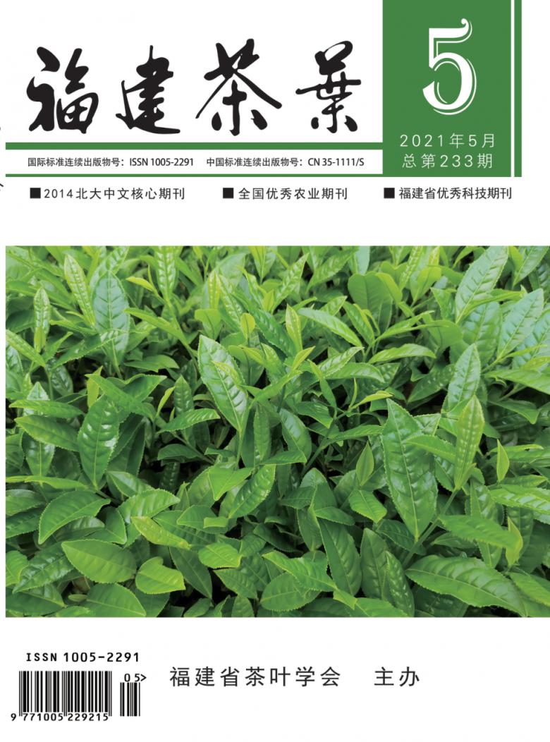 福建茶叶