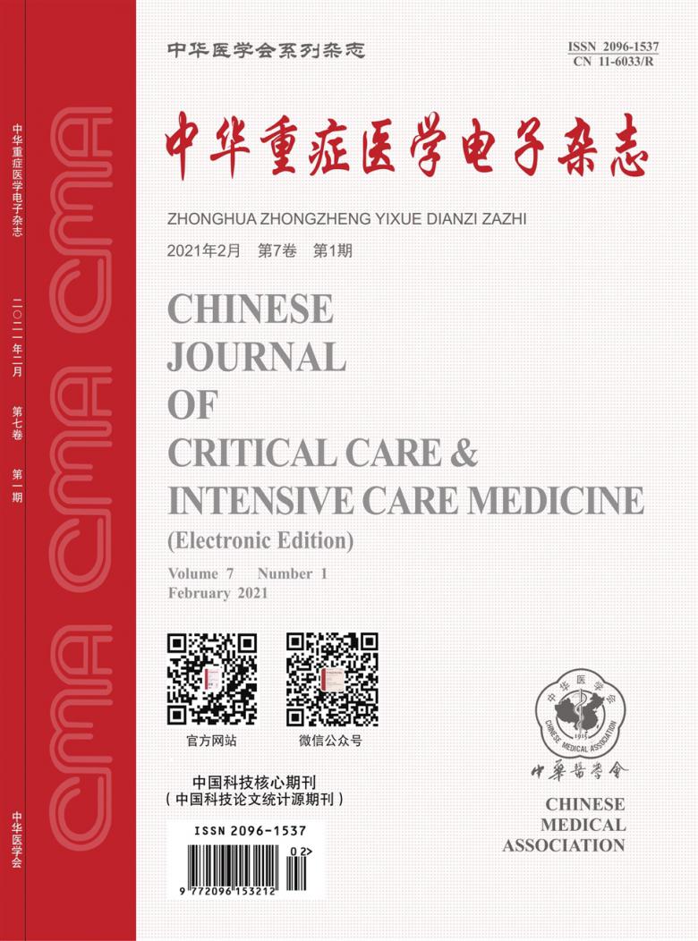 中华重症医学电子