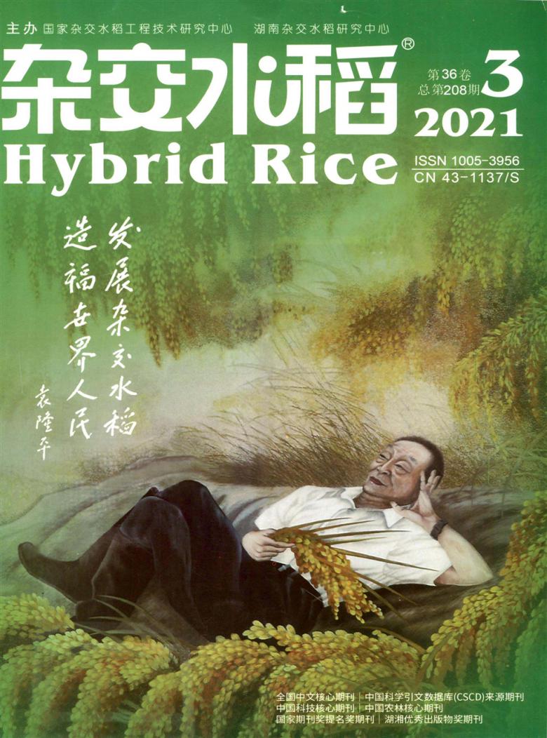 杂交水稻