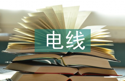 电线实训总结