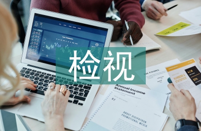 检视交流材料