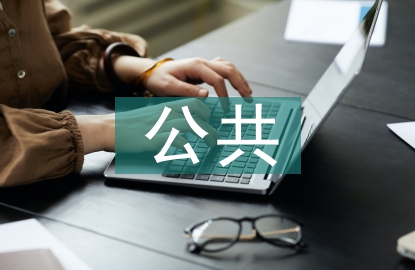 公共财政学论文
