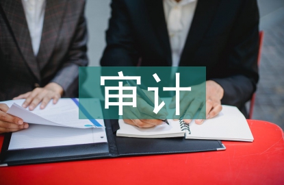 审计认知论文