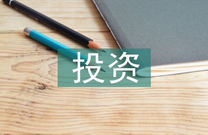 投资案例分析