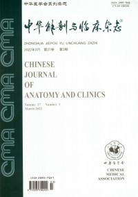 中华解剖与临床期刊