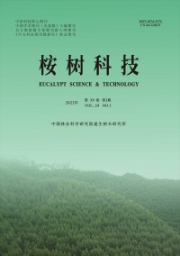 桉树科技杂志
