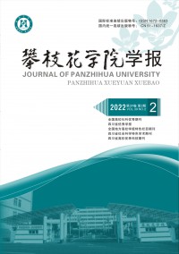 攀枝花学院学报