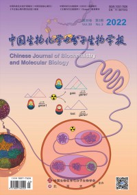 中国生物化学与分子生物学报期刊