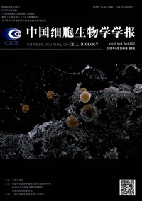 中国细胞生物学学报期刊