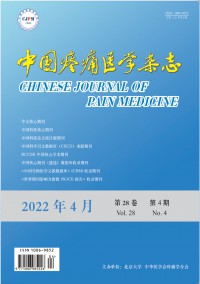 中国疼痛医学期刊