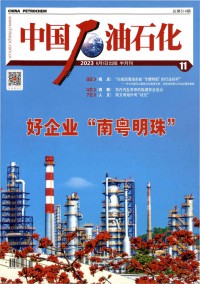 中国石油石化期刊