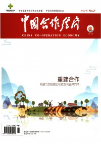 中国合作经济期刊