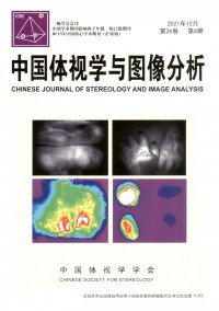 中国体视学与图像分析期刊