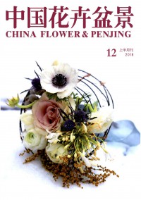 中国花卉盆景期刊