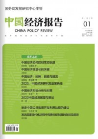 中国经济报告杂志