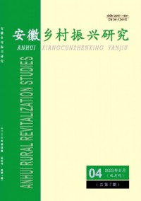 安徽乡村振兴研究