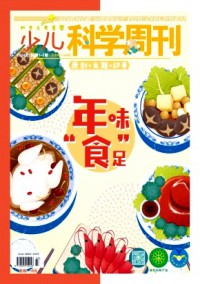 少儿科学周刊·少年版杂志