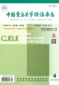 中国骨与关节损伤杂志