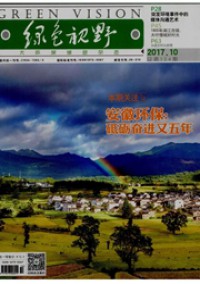 绿色视野
