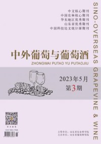 中外葡萄与葡萄酒杂志