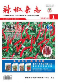 辣椒杂志