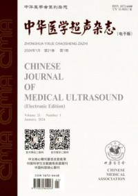 中华医学超声杂志