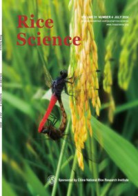 水稻科学杂志