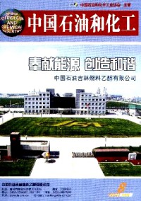 中国石油和化工·企业版