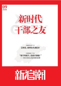 新浪潮杂志