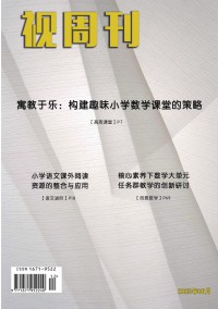 视周刊杂志
